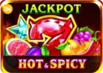 Hot Spice